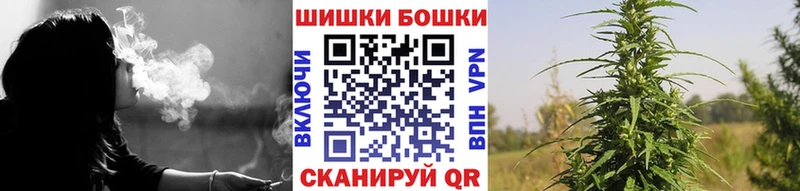 Купить где  Кашин  Каннабис MAZAR 